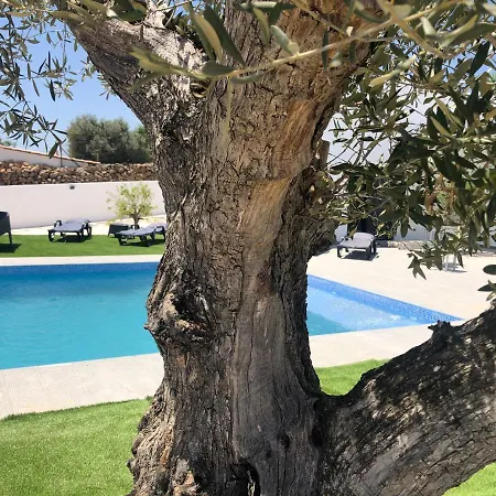 Quinta Ria Formosa Guest house Olhao